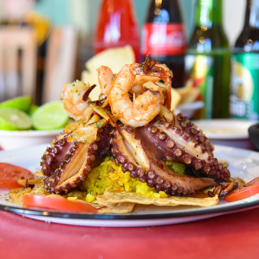 PULPO