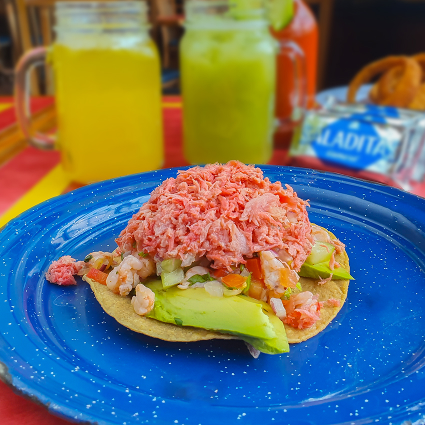 TOSTADAS-merlin