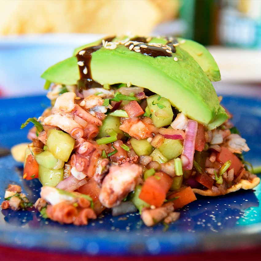 TOSTADAS-pulpo